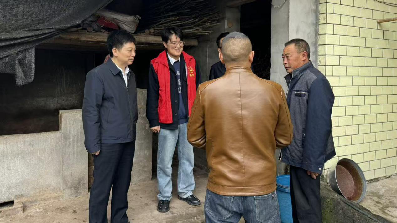 1764816610523.png 图片8.png