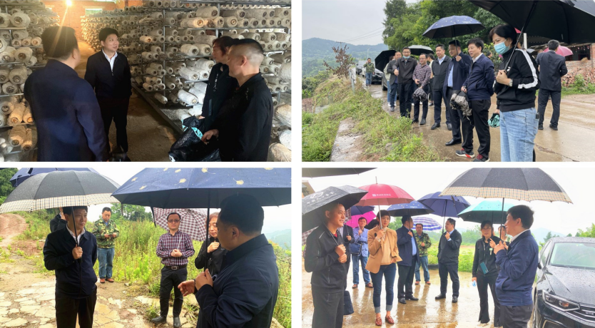 截图录屏_选择区域_20220518162947.png