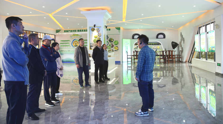 截图录屏_选择区域_20231017163913.png
